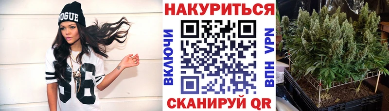 Марихуана семена  Ачхой-Мартан 
